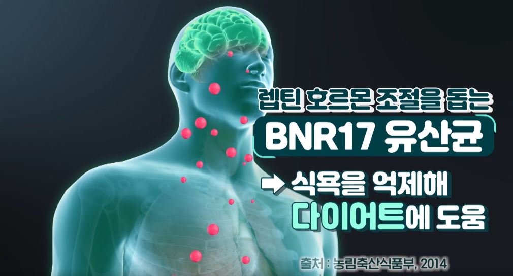 BNR17 유산균 다이어트