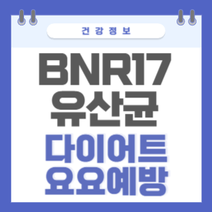BNR17유산균